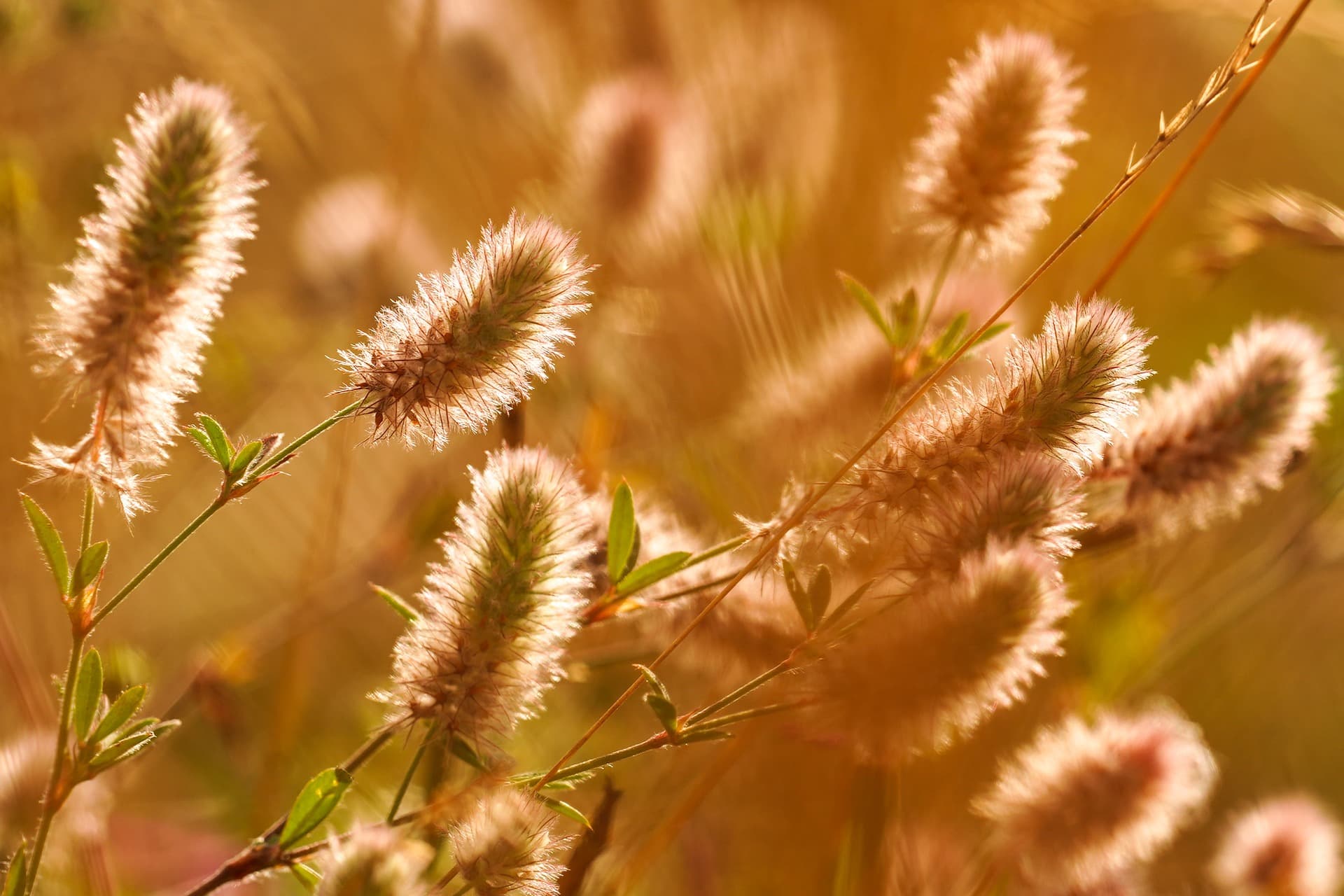 Vision Weide Impressum